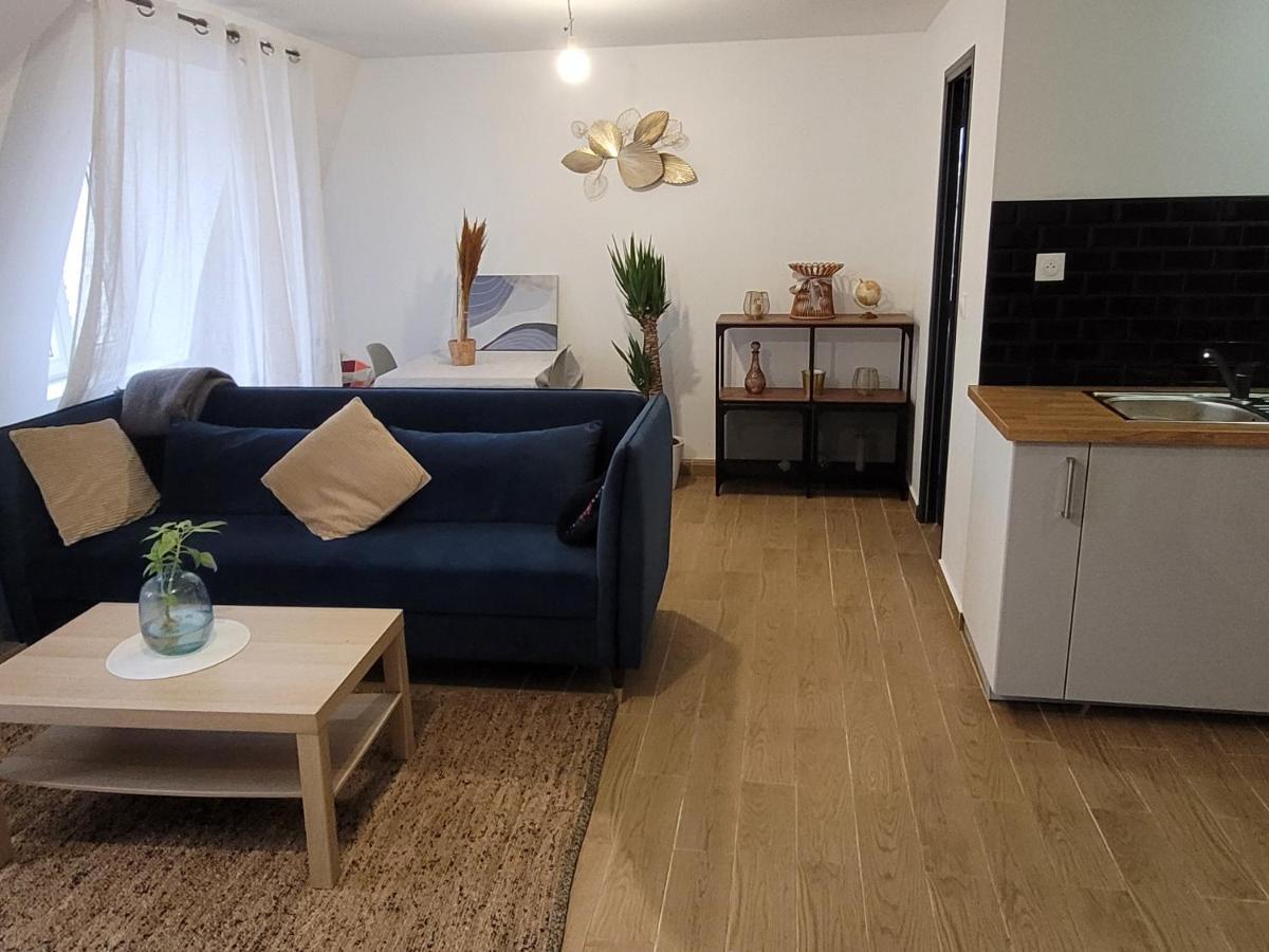 Coquet Appartement A 15Mn De Paris Et 10 Mn De Stade De France, Wifi, Netflix, Groslay Kültér fotó